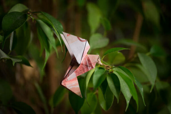 origami bird from banknotes sitting on a tree branch
