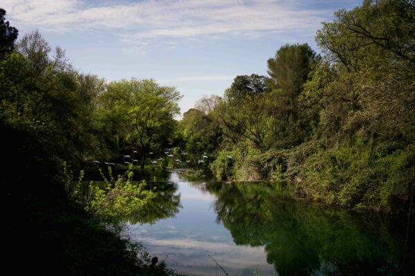 Copie de ZAT Mosson 2025 © Marielle Rossignol-71